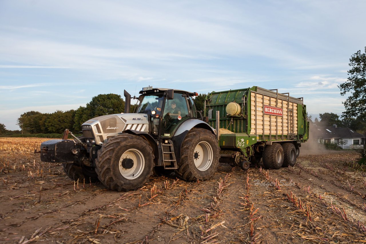 Bild 113 - Maisernte 2016